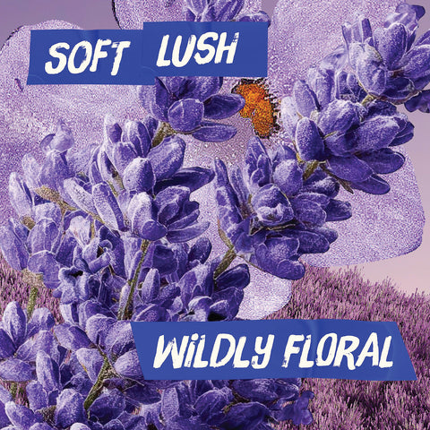 Good Soap Body Wash - Lavender Breeze
