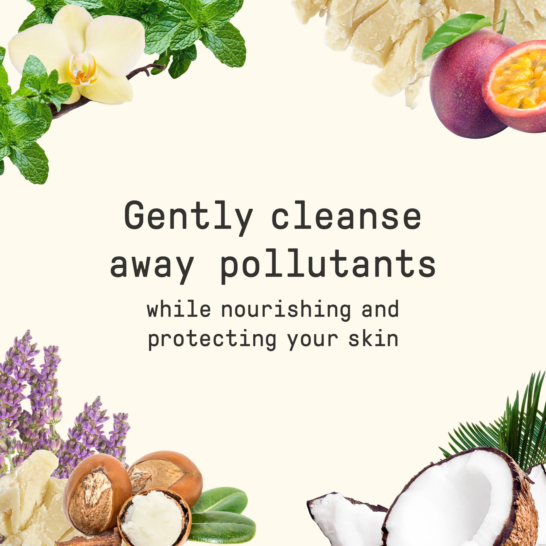 Everyday Shea Body Wash Nourishing & Balancing Passion Fruit 32 oz