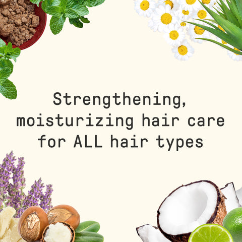 Every Day Shea Shampoo and Conditioner - Lavender, 16 Fl Oz Each